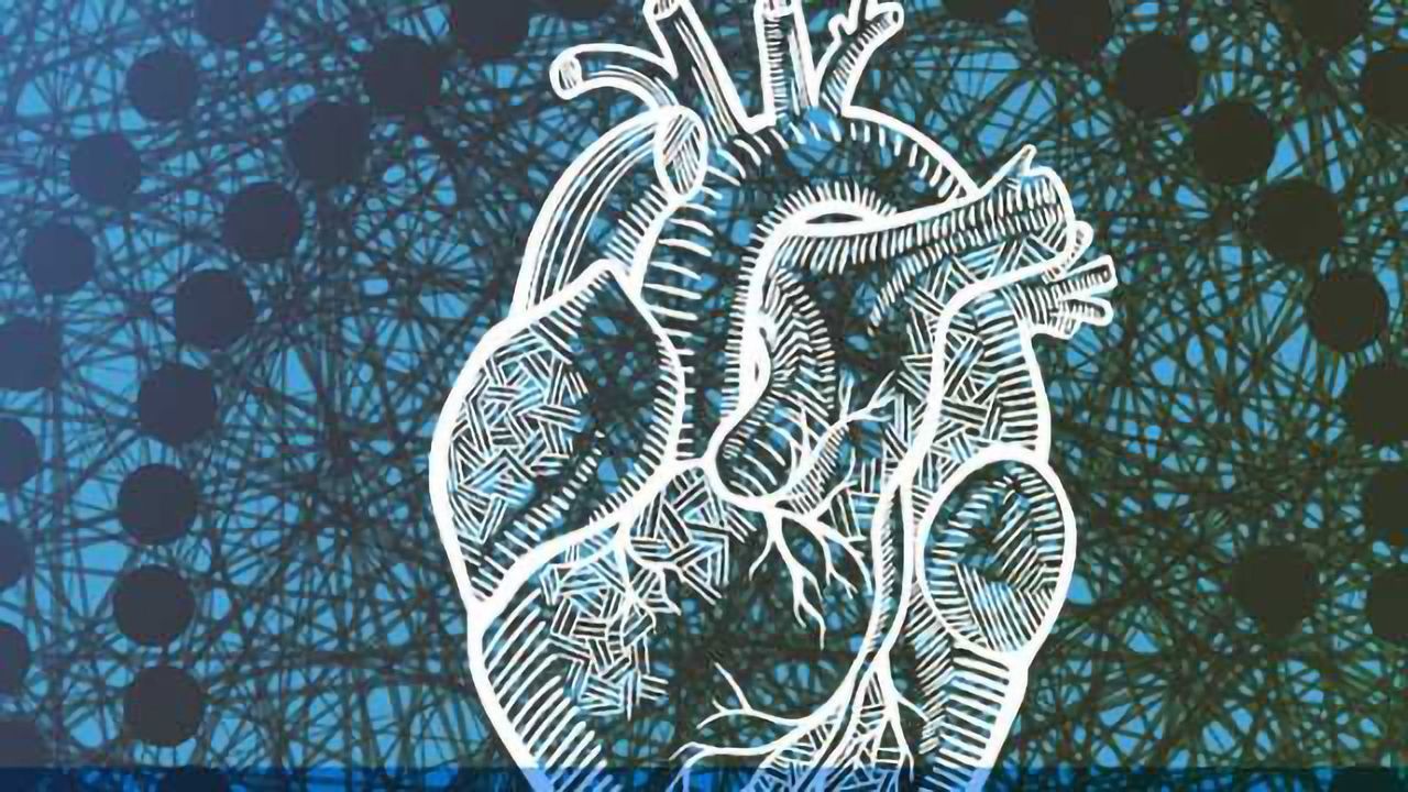 Algorithm Predicts Life Expectancy After Heart Attack