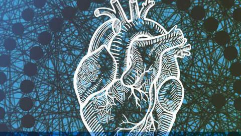 Algorithm Predicts Life Expectancy After Heart Attack