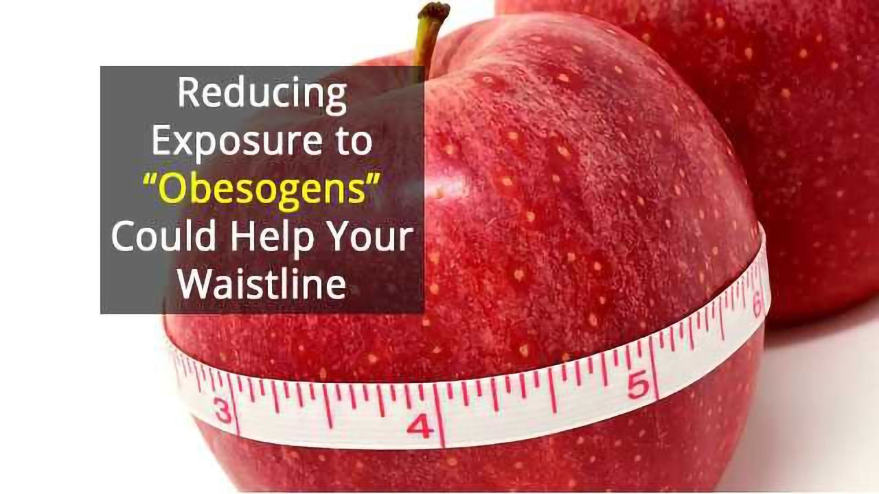 Hormone-Disrupting Environmental Chemicals May be Making Us Fat