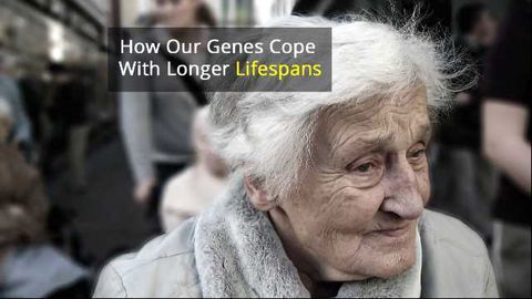 No Country for Old Genes