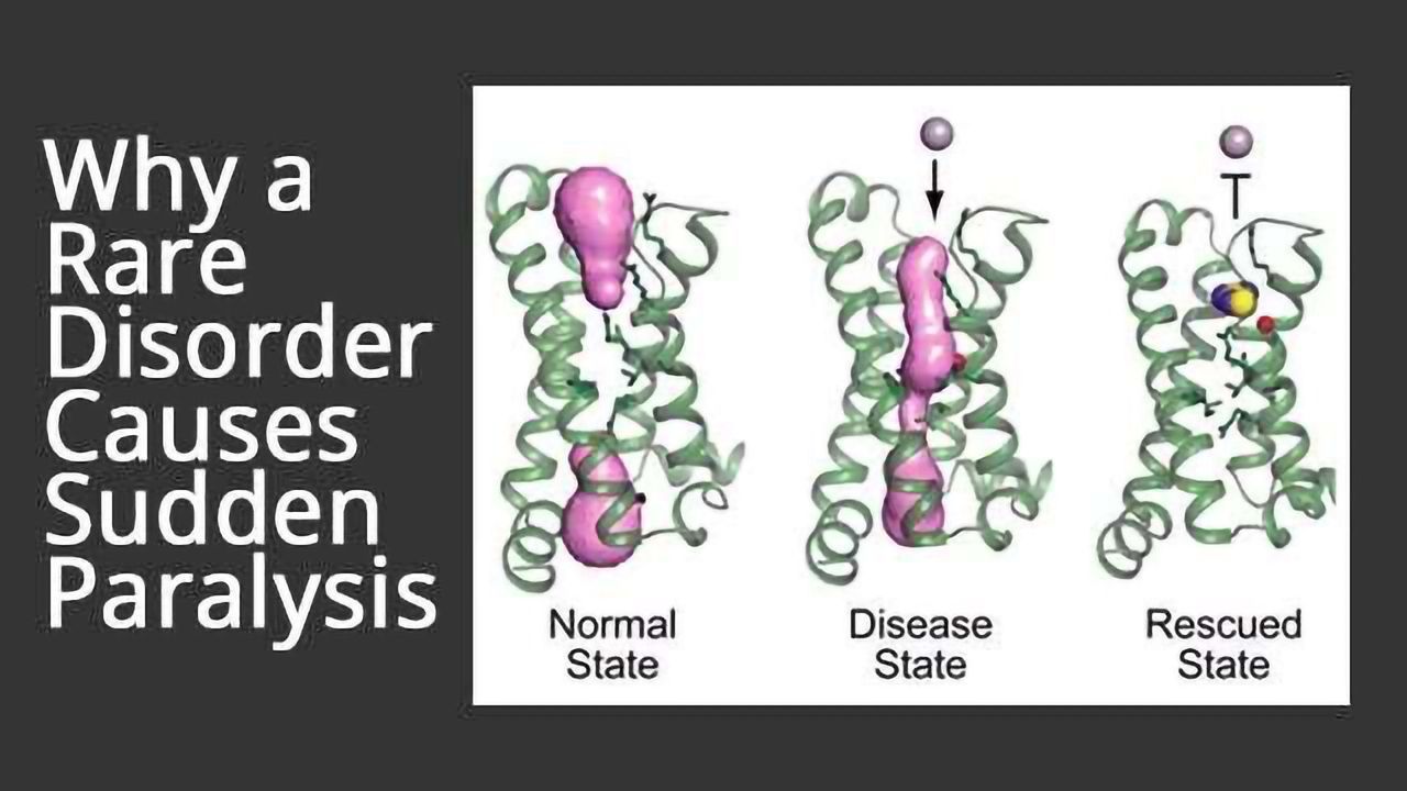 Targeting a Leaky Protein that Causes Paralysis