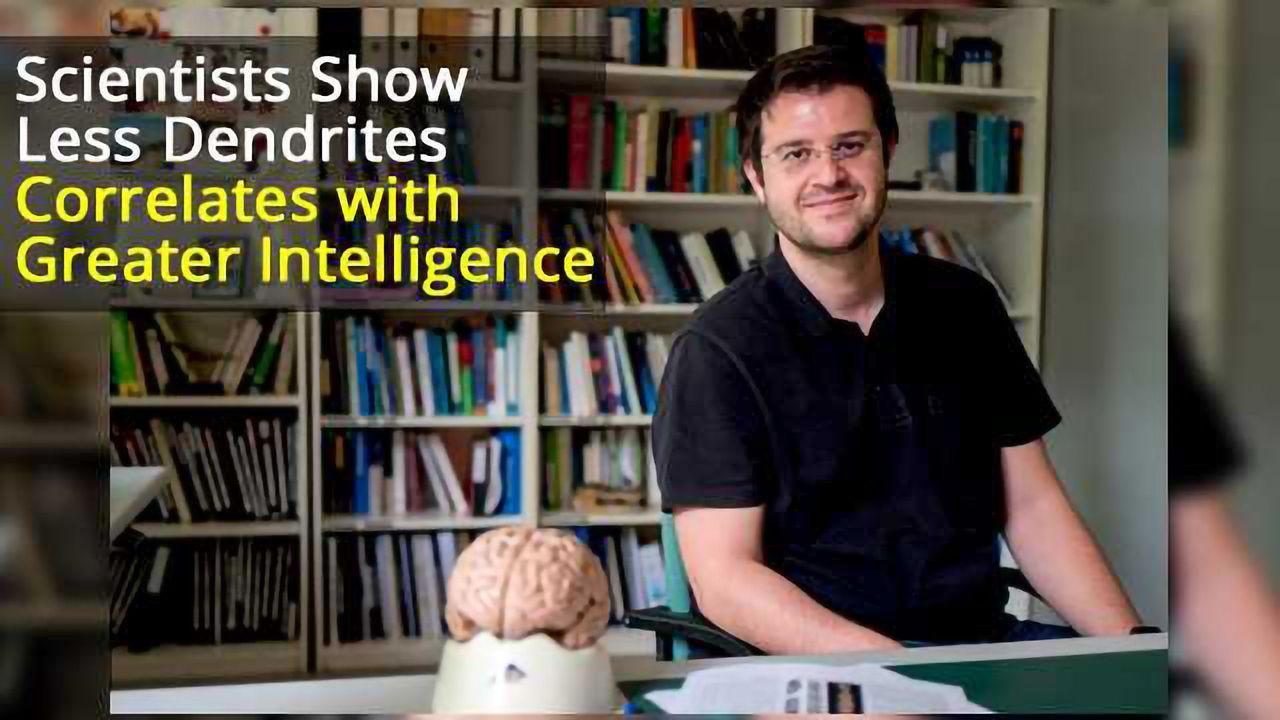 Smaller Numbers of Dendrites Correlate With Greater Intelligence