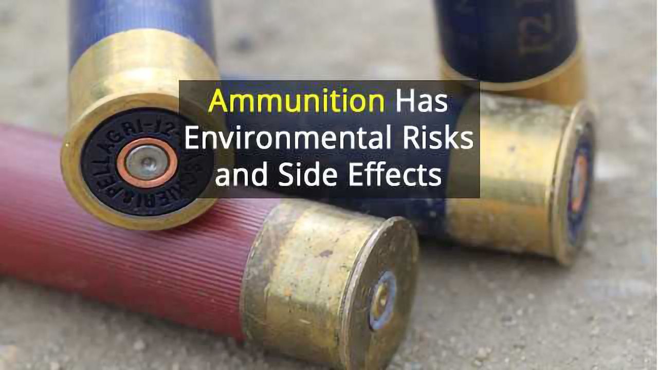 Lead-Free Ammunition Even More Toxic than Traditional Shot