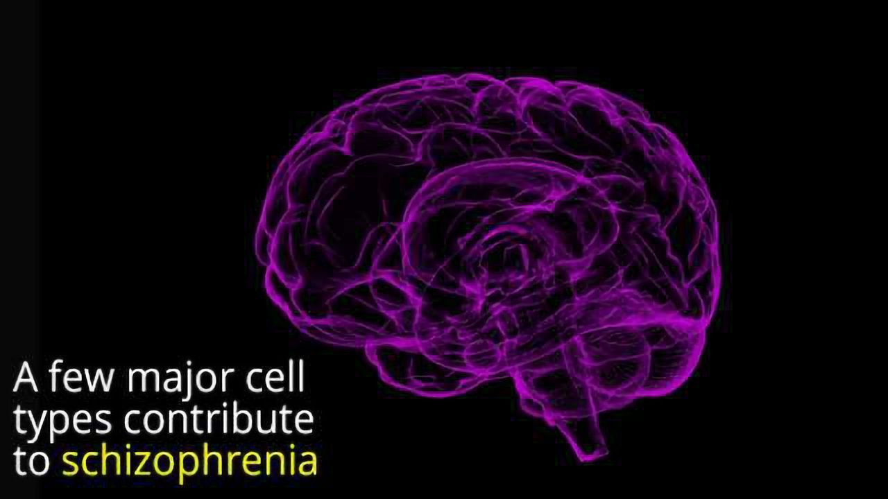 Cell Types Underlying Schizophrenia Identified