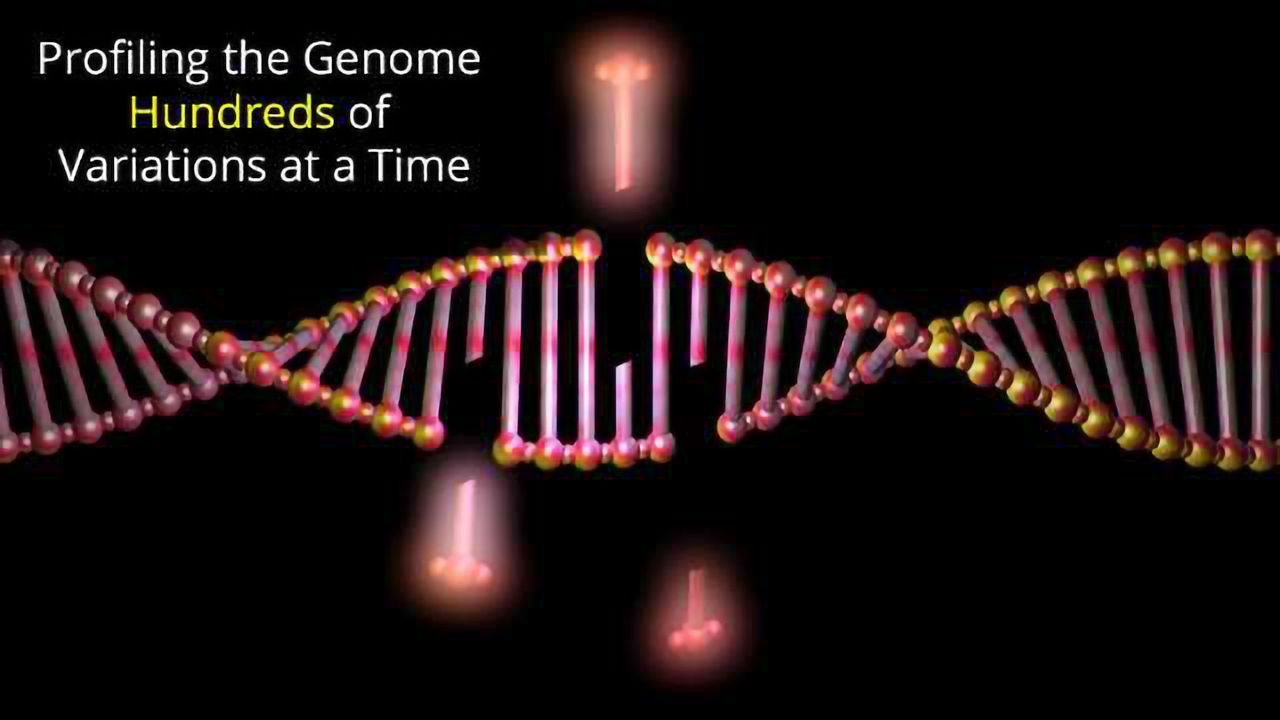 Yeast Study Performs Hundreds of Simultaneous CRISPR Edits