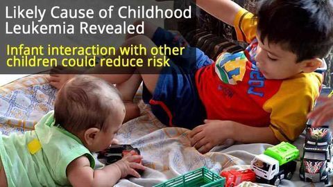 Infants Should Interact with Other Children to Reduce Leukemia Risk