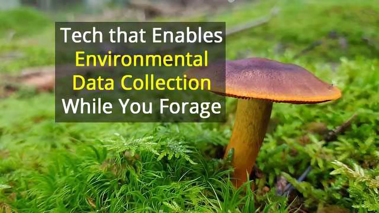 Fungi Hunting Goes Hi-Tech