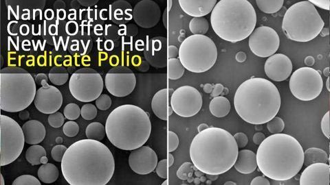 Single-injection Polio Vaccine