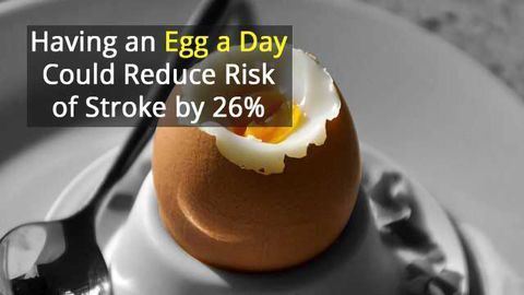 An Egg a Day May Be Good For Your Heart