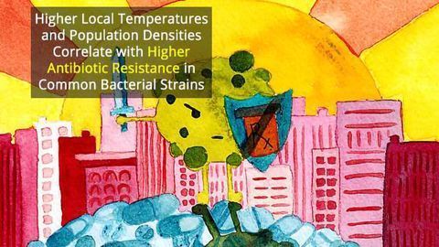 Link Between Increases in Local Temperature and Antibiotic Resistance