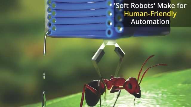 Soft Power: The Rise of Bio-Friendly Robots  content piece image 