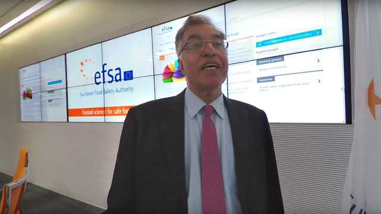Food Additives: Breaking News from EFSA’s Open Expert Meeting