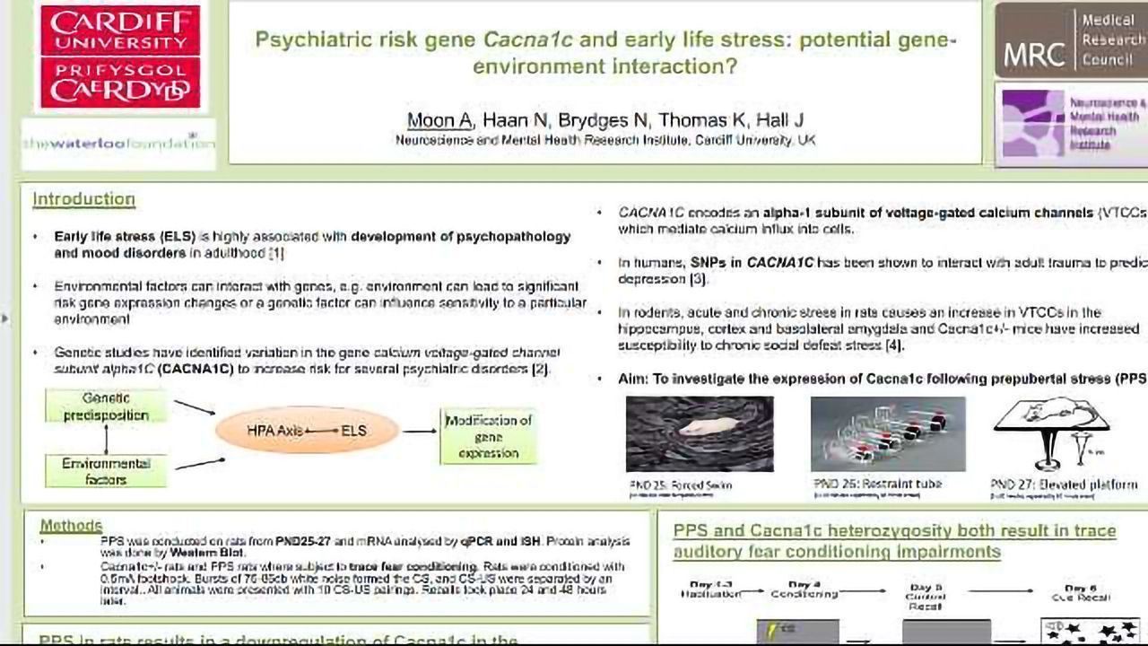 Psychiatric Risk Gene Cacna1c and Early Life Stress: Potential Gene-Environment interactions?