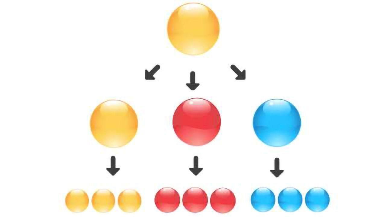 Cell Potency: Totipotent vs Pluripotent vs Multipotent Stem Cells
