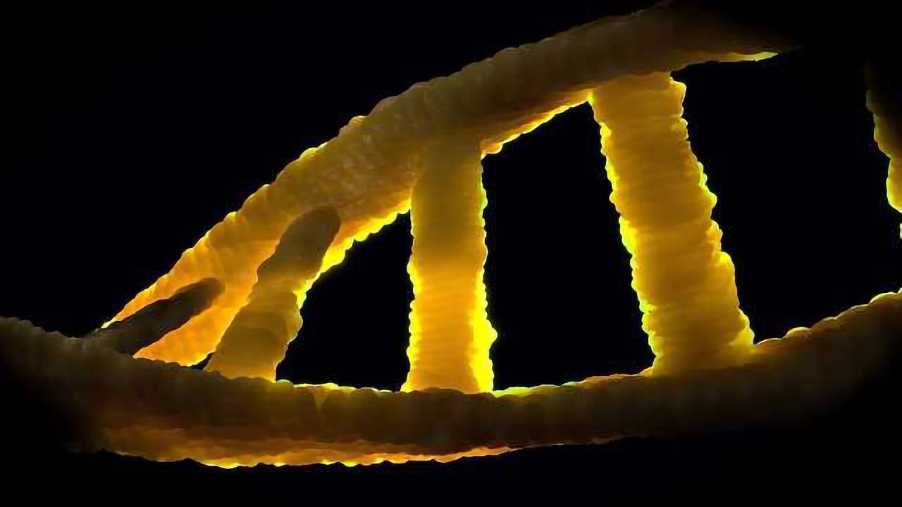 New Inherited Neurodevelopmental Disease Discovered