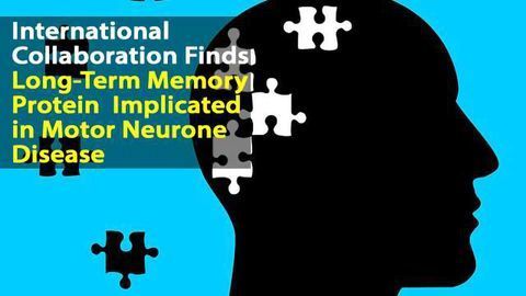 Ataxin Links Long Term-Memory and Neurodegeneration