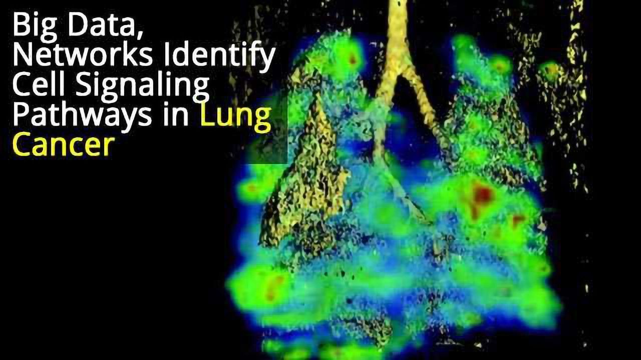 Understanding Lung Cancer Cell Networks Helps Create Drug Treatments