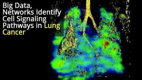 Understanding Lung Cancer Cell Networks Helps Create Drug Treatments
