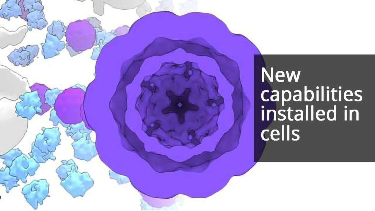 Artificial Cellular Compartments Built