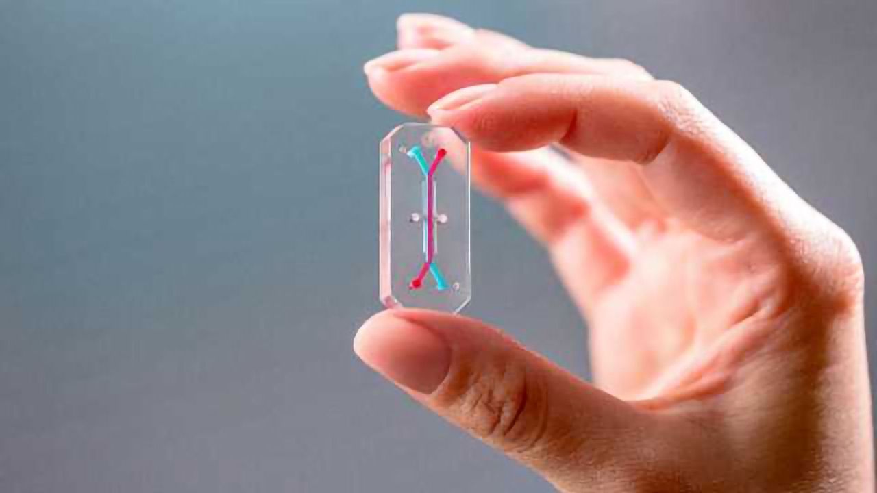 Accelerating the Development of Organs-on-Chips