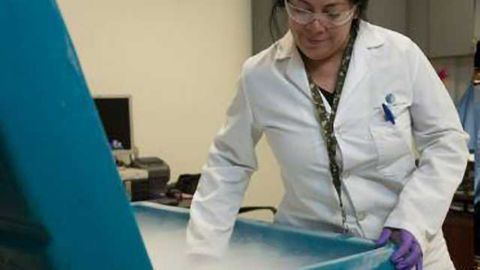 Worldwide Clinical Trials Receives 2018 CRO Leadership Awards
