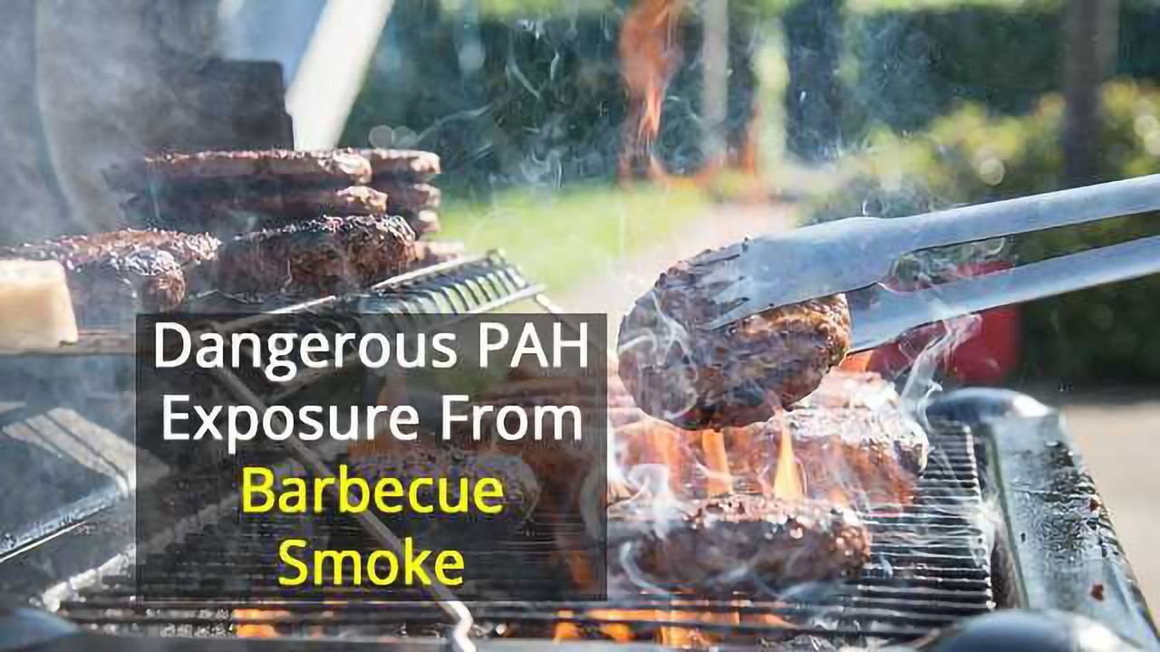 Carcinogen Hazard From BBQ Smoke