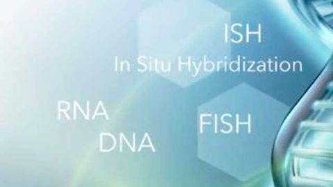 Lunaphore and Vitro Sign Collaboration Agreement