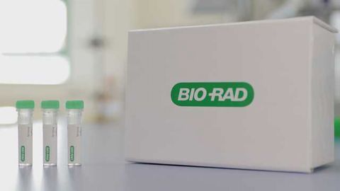 Bio-Rad Launches a Range of Anti-idiotypic Antibodies Targeting Pembrolizumab and Nivolumab