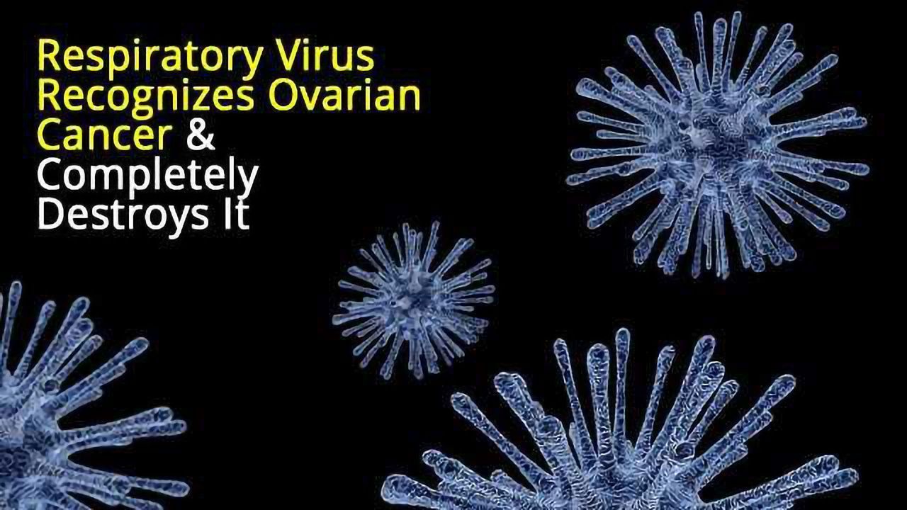 Reprogrammed Virus Offers Hope as Cancer Treatment