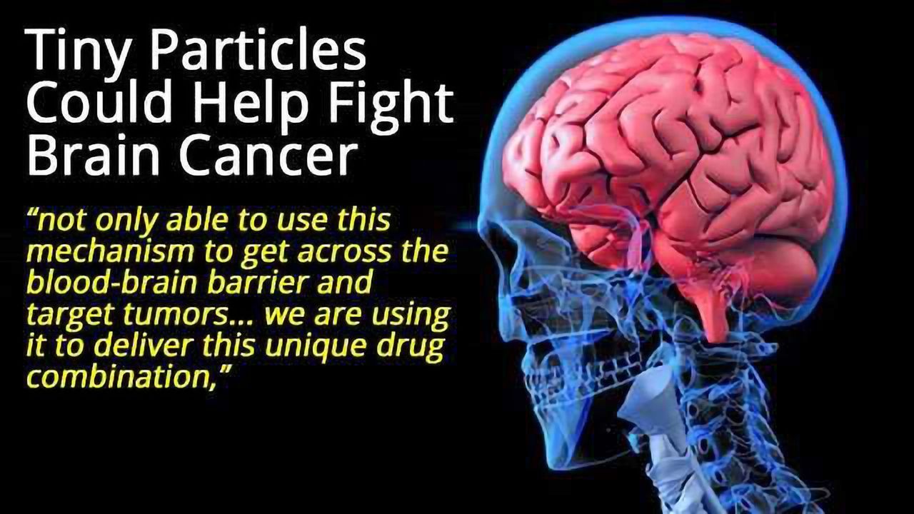 Tiny Particles Carry Tumor Shrinking Drugs into the Brain