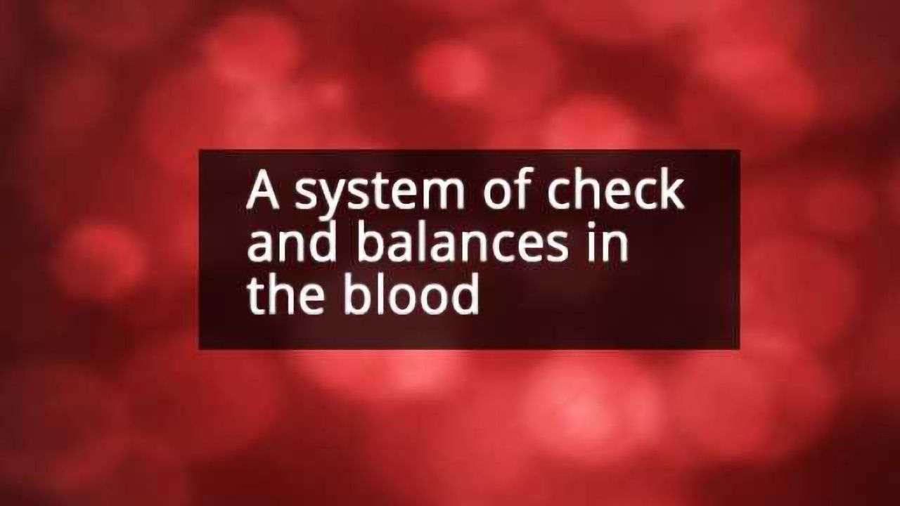 How Hematopoietic Stem Cells Balance Activation and Dormancy