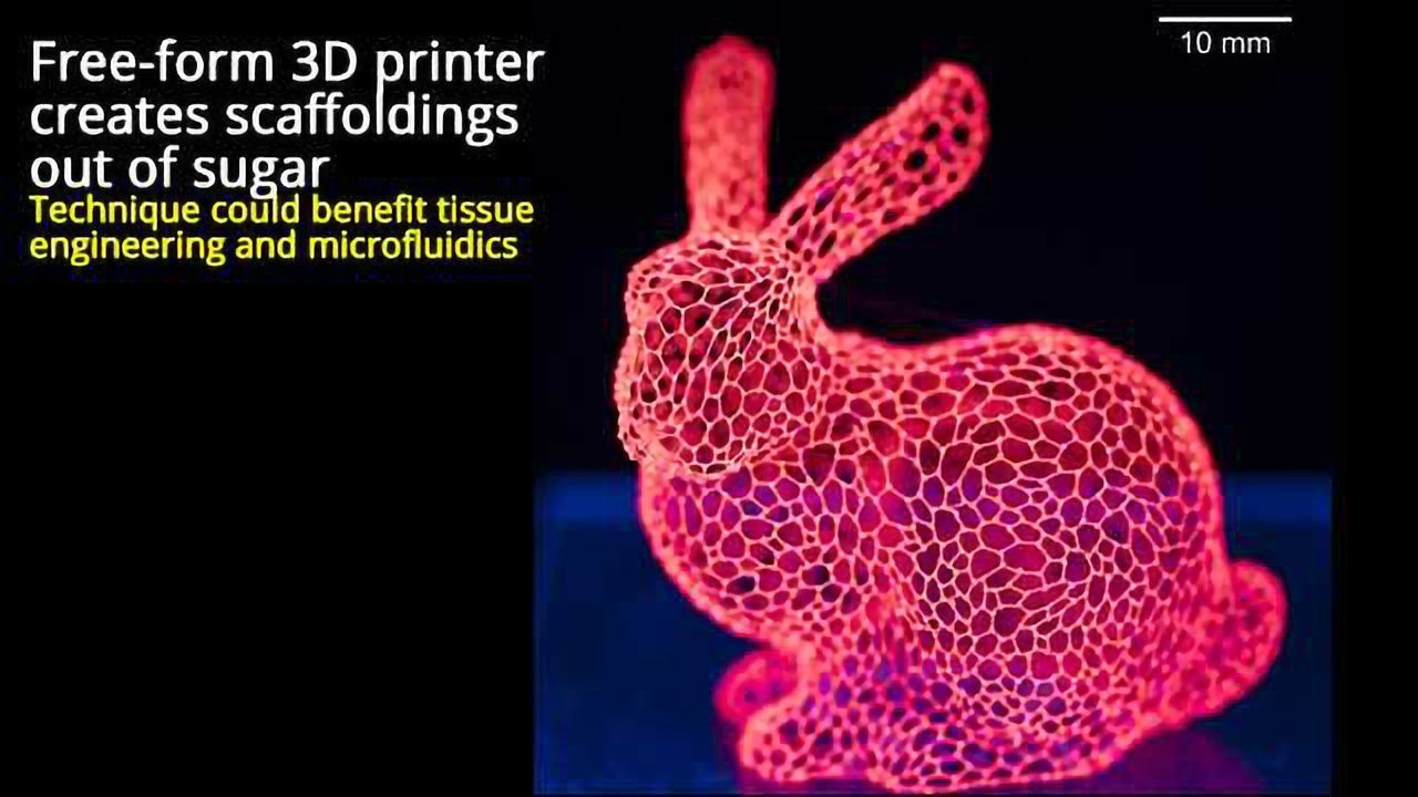 3-D Printed Sugar Scaffolds Offer Sweet Solution for Tissue Engineering