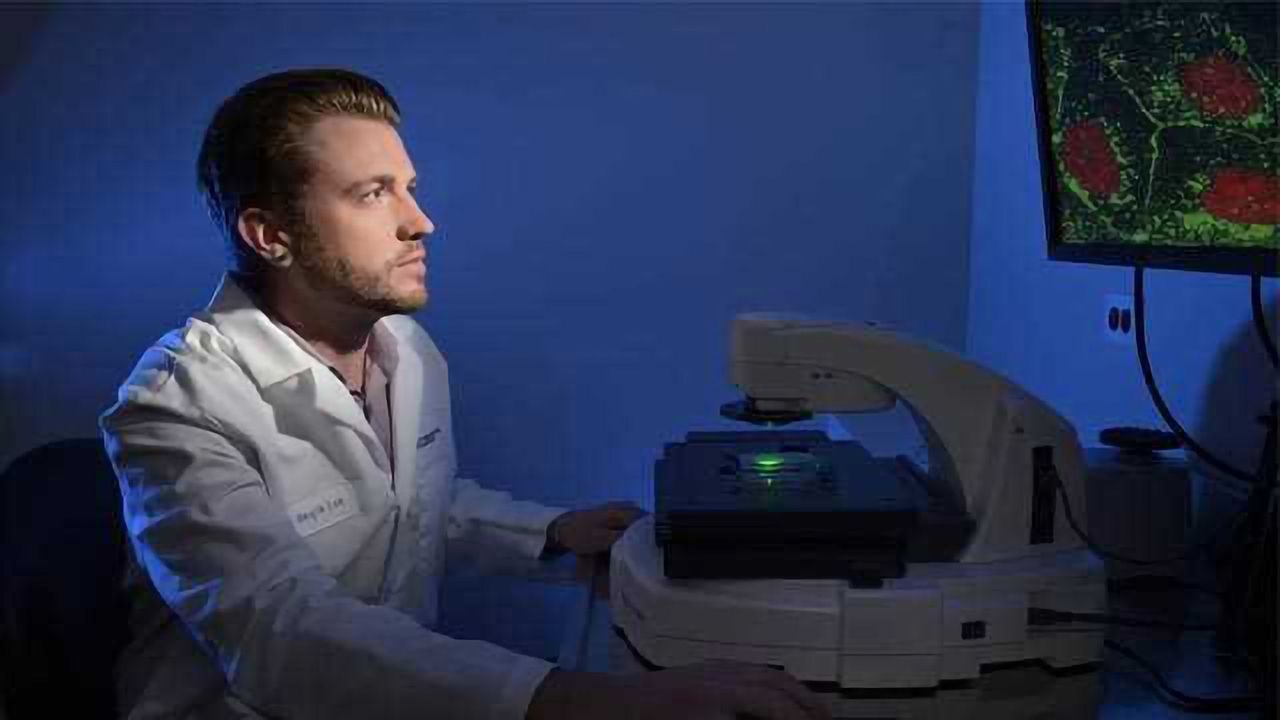 Cancer Metastasis: Novel Cellular Mechanism Identified