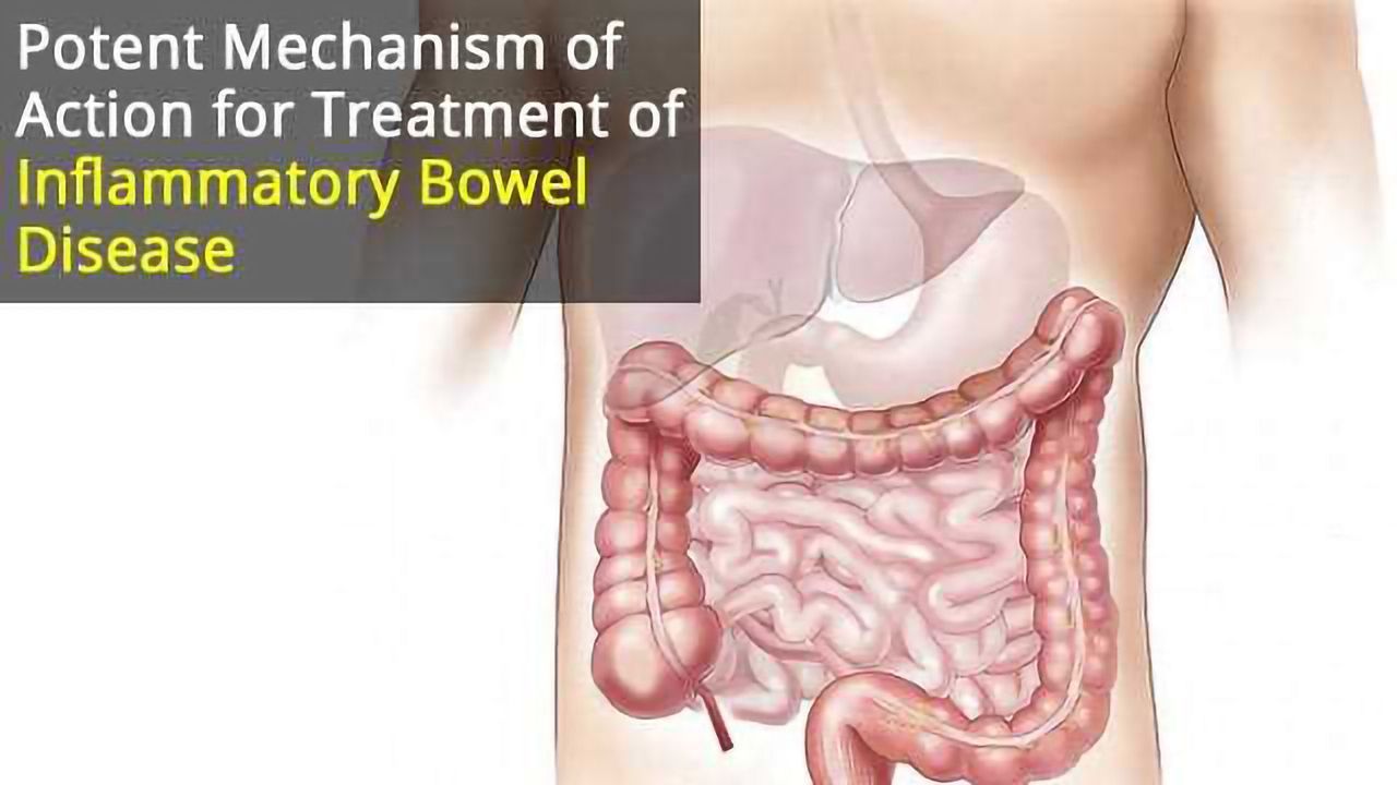 Novel Mechanism of Action for Inflammatory Bowel Disease Treatment