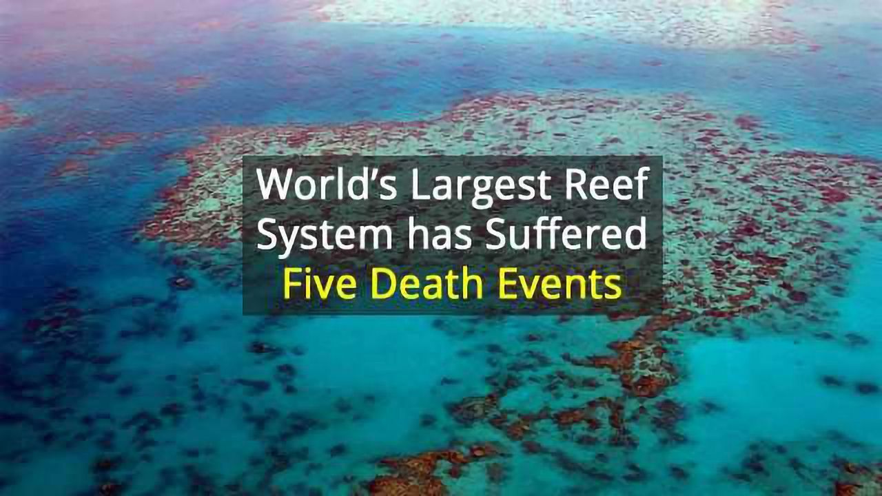 Rise and Fall of the Great Barrier Reef Over 30,000 Years
