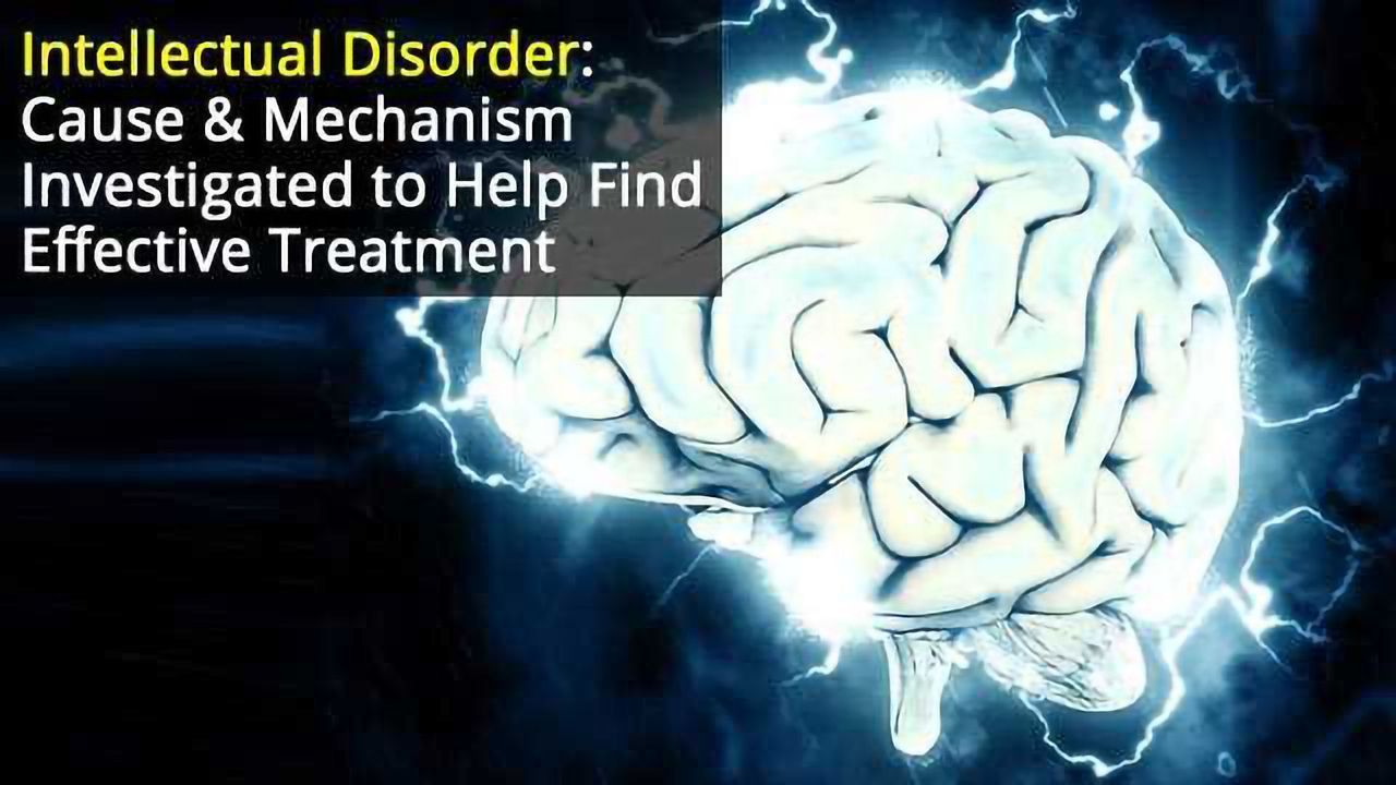 Advances in Understanding & Treating Intellectual Disorder