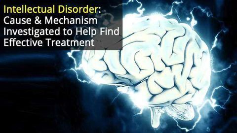 Advances in Understanding & Treating Intellectual Disorder