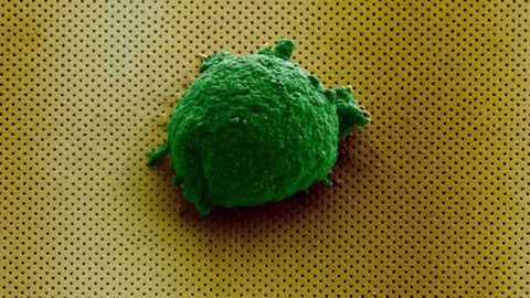 Deciphering the Language of Cells Using Observation Chambers