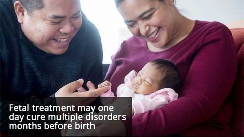 In Utero Stem Cell Transplants Could Revolutionize Thalassemia Treatment