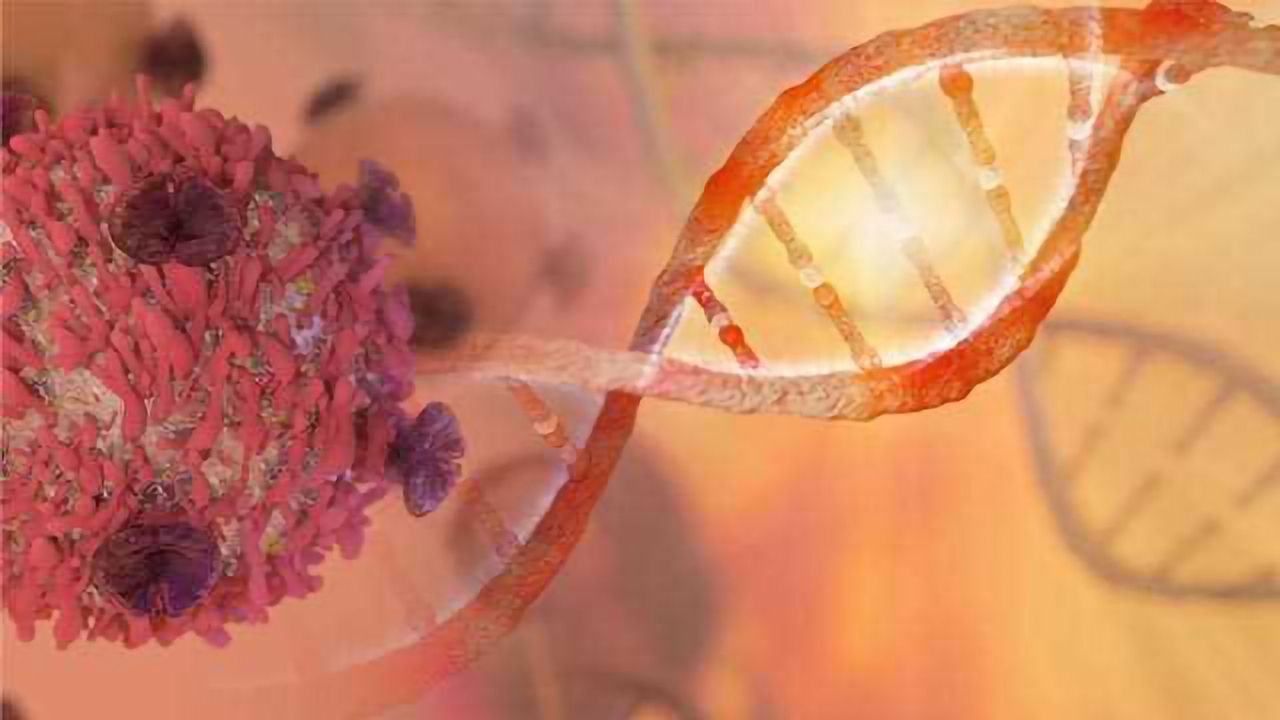 Genomic Profiling in Cancer: Matching Patients to Precision Trials, Guiding Patients to the Right Treatment