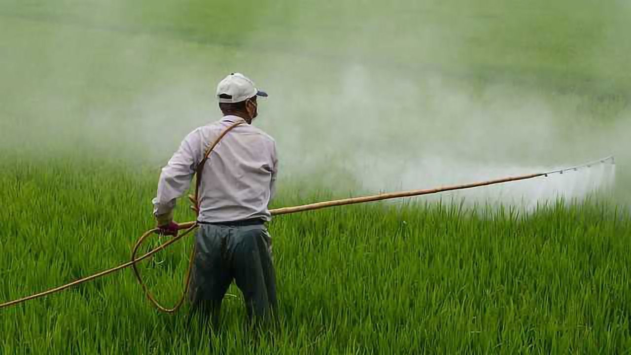 8 Top Tips For Pesticide Screening
