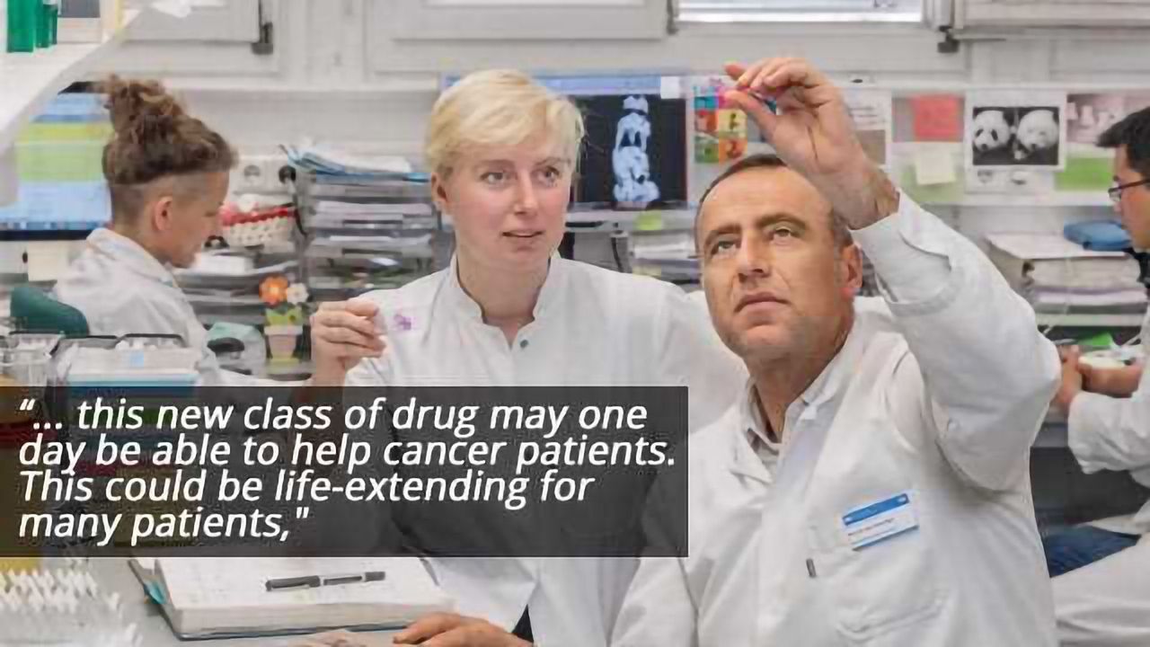 Drug Shows Unexpected Efficacy Against Aggressive Cancers