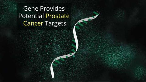 Genome's Dark Matter Gives Prostate Cancer Clues