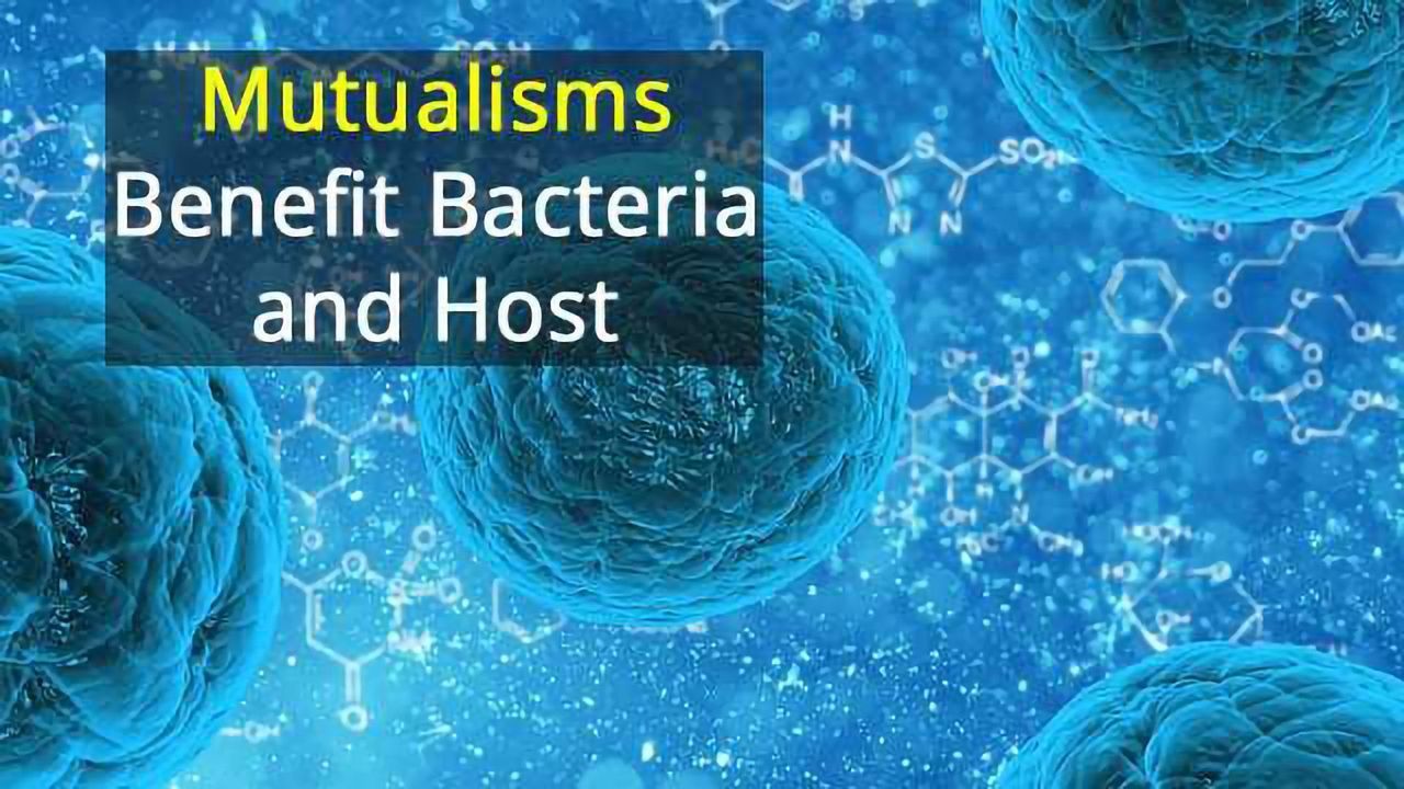 Could We Work With Our Bacteria to Prevent Infection?