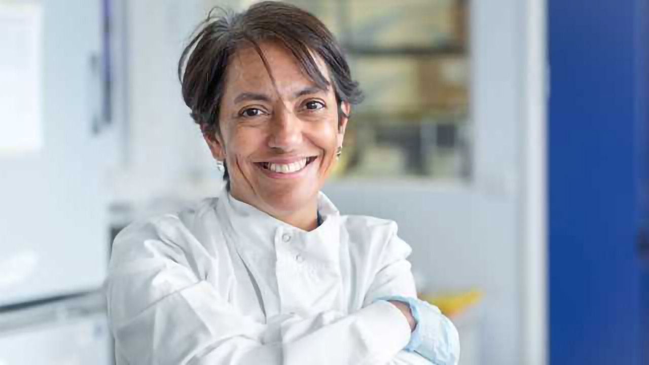 Understanding the Mechanisms of Streptococcal Infection and Disease