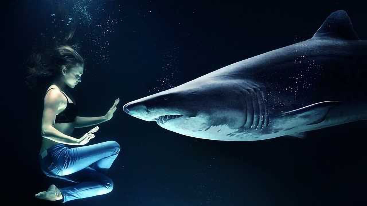 The Ionic Basis for Electrosensation In Sharks and Skates