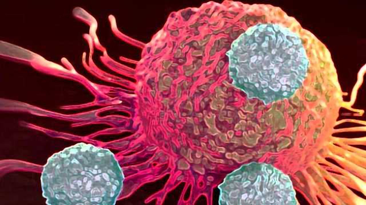 Bi-specific Antibodies Lure Immune Killers Directly to Cancer Cells
