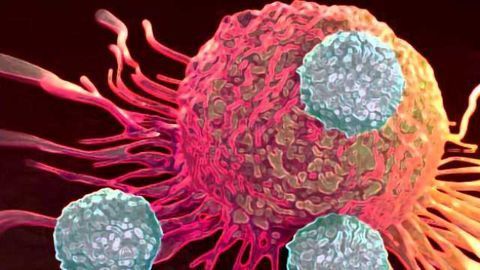Bi-specific Antibodies Lure Immune Killers Directly to Cancer Cells
