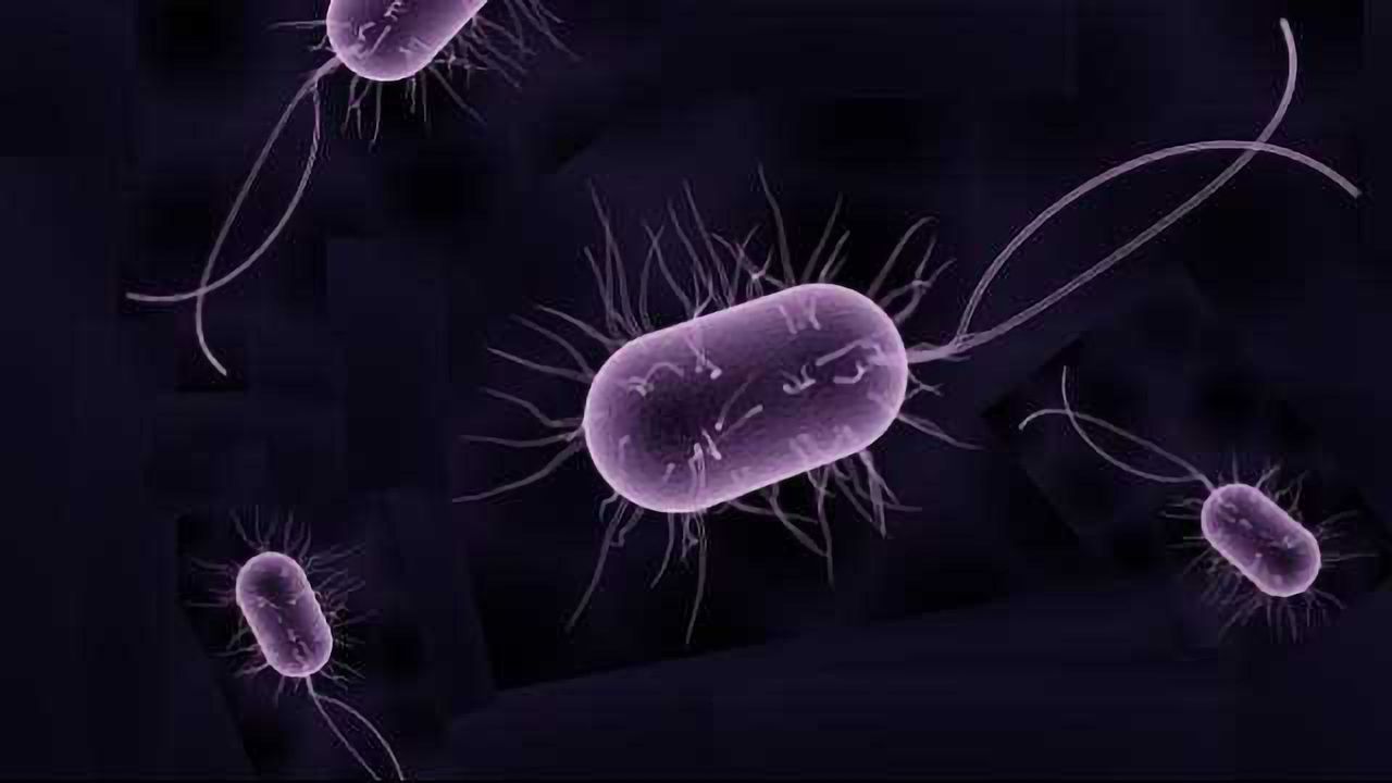 Compound Effective Against Drug-Resistant Pathogens