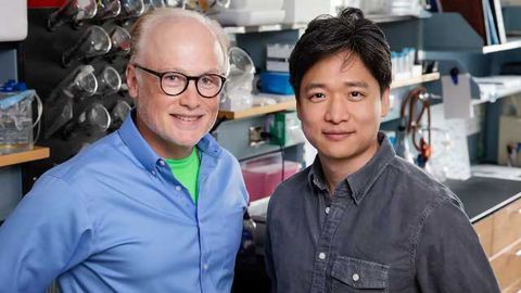 Disease-Causing Stomach Bug Attacks Energy Generation in Host Cells